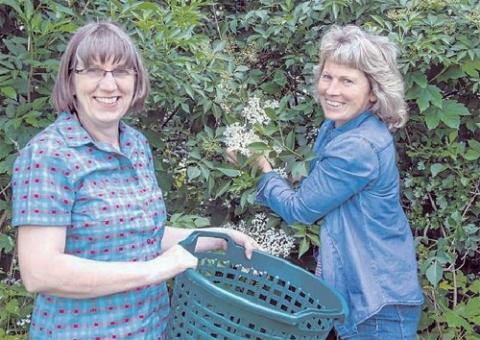 Obstwirtschaft mit Grips Christine Schamel und Barbara Dahinten